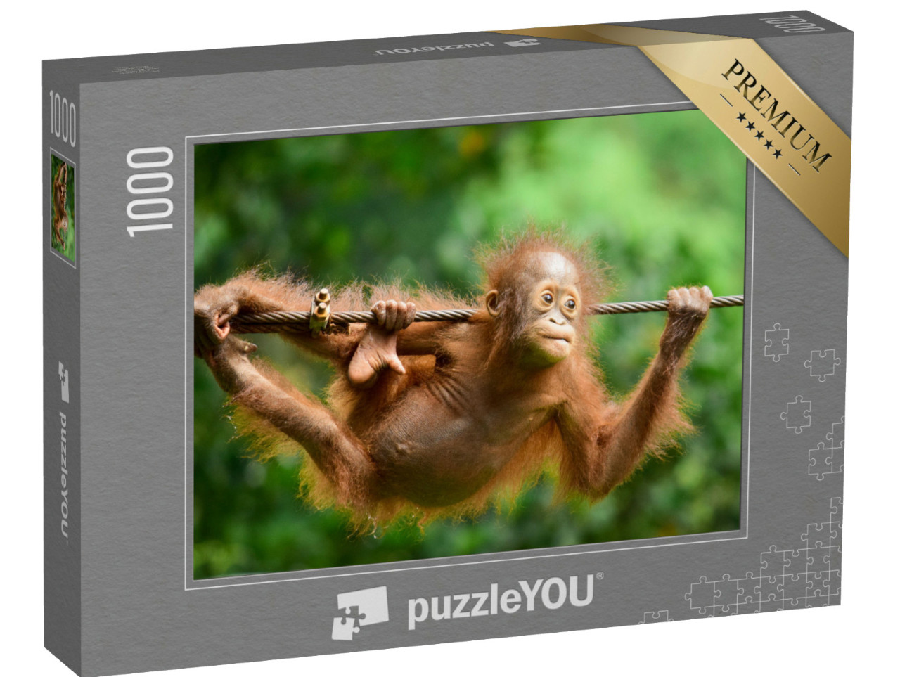 Puzzle de 1000 pièces « Gros plan sur l'orang-outan de Kalimantan »