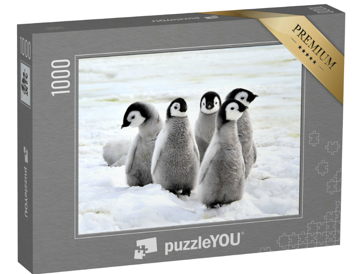 Puzzle de 1000 pièces « Poussin de manchot empereur sur la neige, Antarctique »