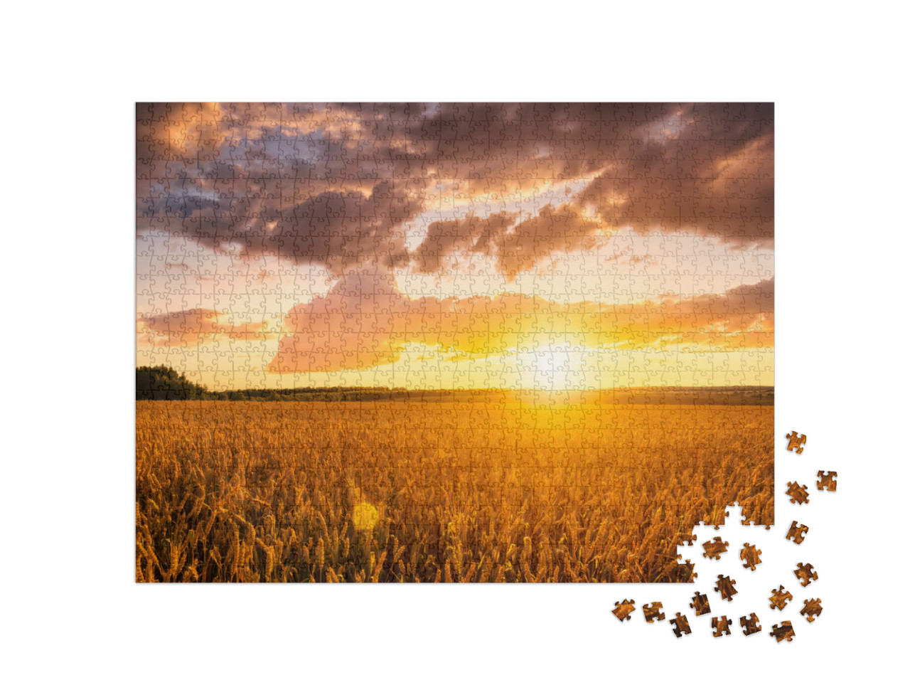 Puzzle de 1000 pièces « Coucher de soleil sur un champ de blé en été »