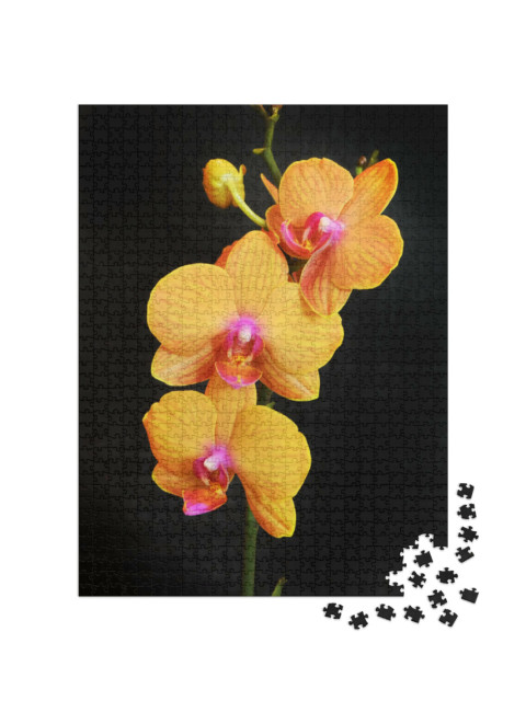 Puzzle de 1000 pièces « Orchidée phalaenopsis orange aux fleurs abondantes »