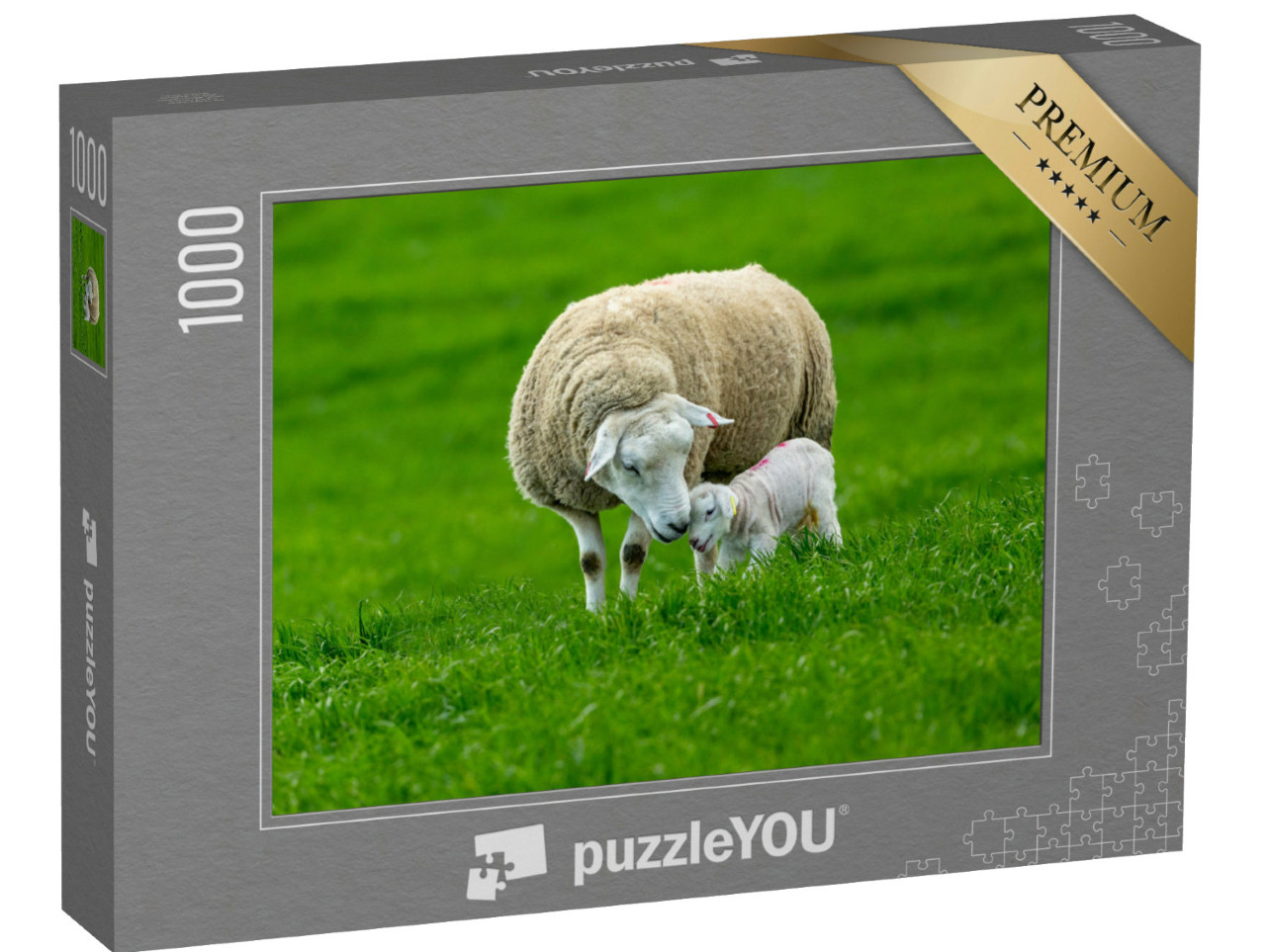 Puzzle de 1000 pièces « Une brebis et son agneau nouveau-né »