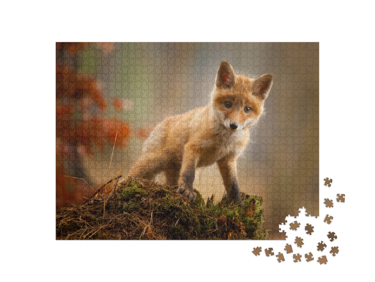 Puzzle de 1000 pièces « Un jeune renard »