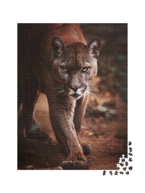 Puzzle de 2000 pièces « Un puma se faufile »