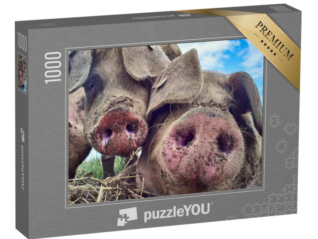 Puzzle de 1000 pièces « Des porcs heureux »