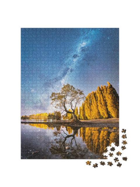 Puzzle de 1000 pièces « Voie lactée au-dessus de l'arbre de Wanaka »