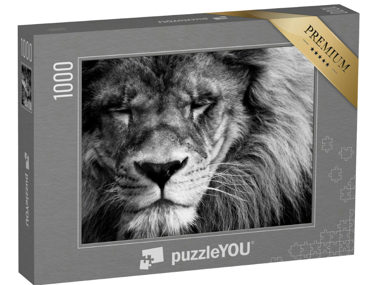 Puzzle de 1000 pièces « Portrait d'un beau lion »