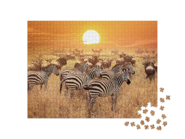 Puzzle de 1000 pièces « Zèbre au coucher du soleil dans le parc national du Serengeti, Afrique, Tanzanie »