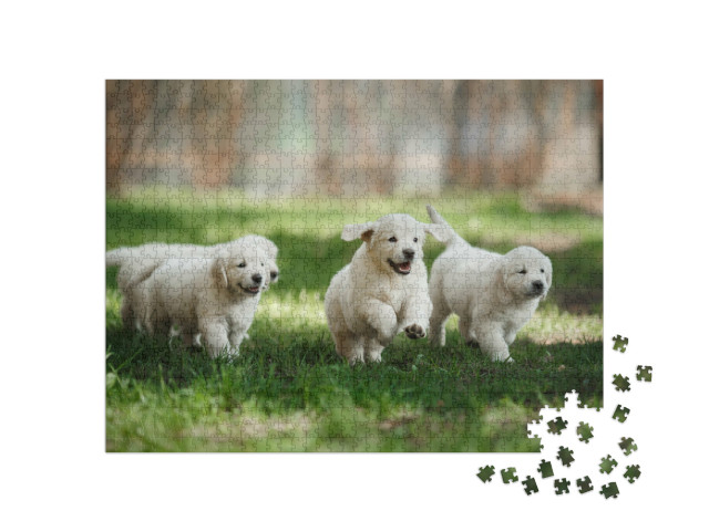 Puzzle de 1000 pièces « Chiots Golden Retriever dans le parc »
