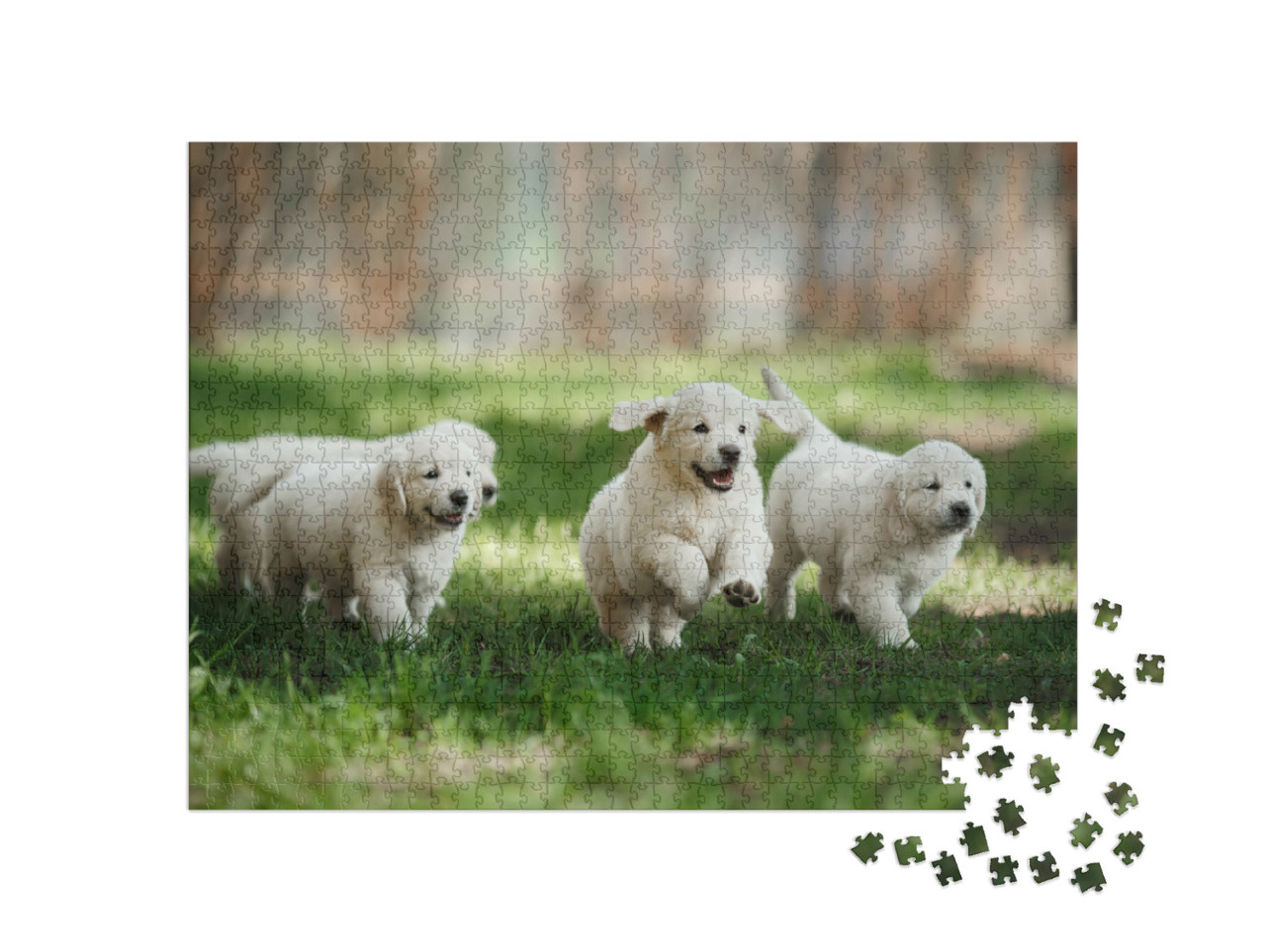 Puzzle de 1000 pièces « Chiots Golden Retriever dans le parc »