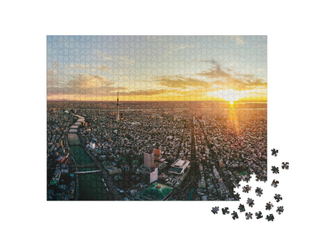 Puzzle de 1000 pièces « Tokyo à l'aube, Japon »