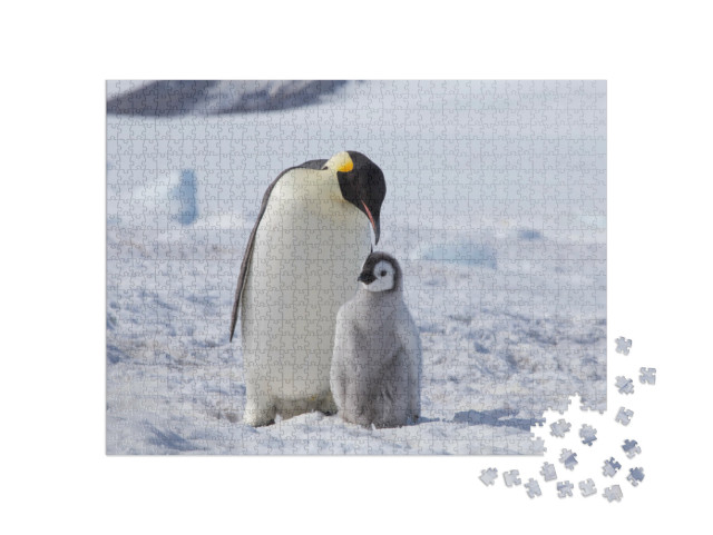 Puzzle de 1000 pièces « Un manchot empereur et son poussin, Antarctique »
