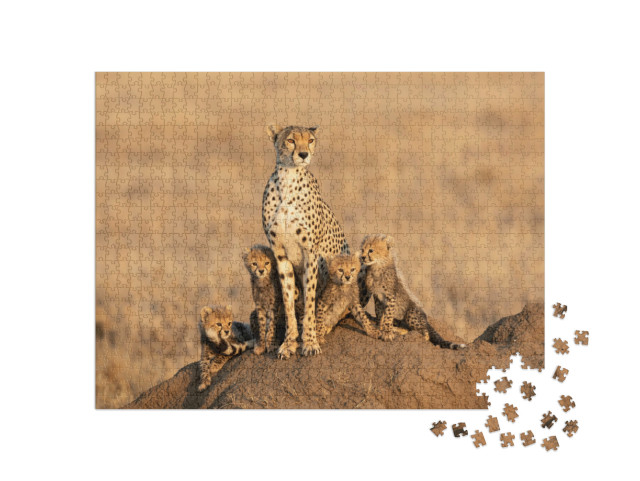 Puzzle de 1000 pièces « Guépard femelle avec quatre petits »