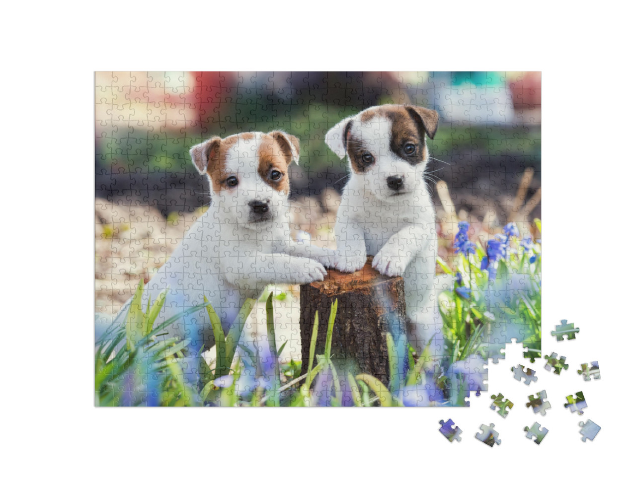 Puzzle de 500 pièces « Deux adorables chiots Jack Russell »