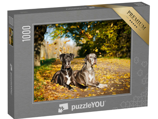 Puzzle de 1000 pièces « Deux dogues allemands »
