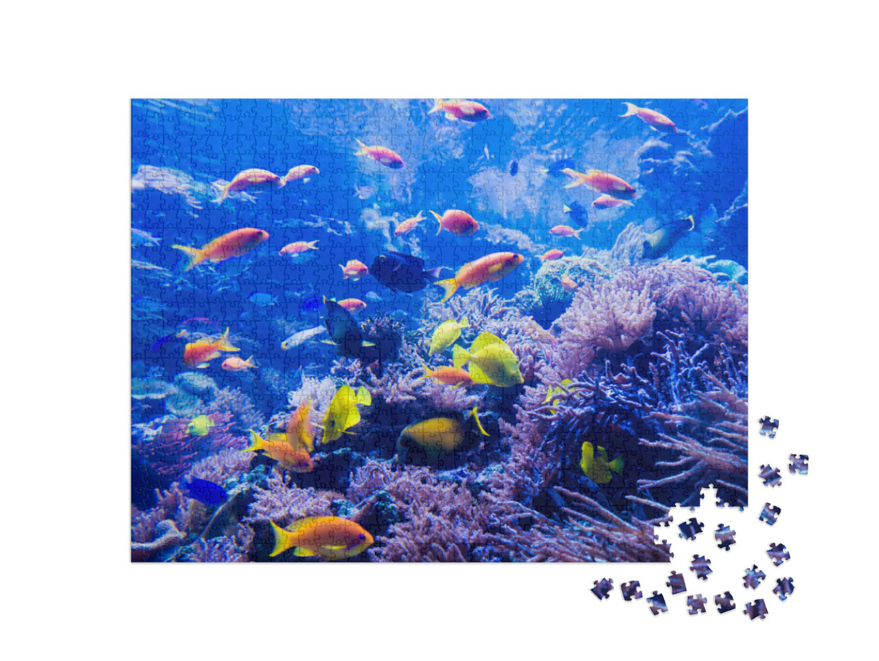Puzzle de 1000 pièces « Un beau monde sous-marin »