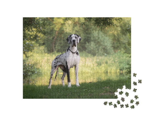 Puzzle de 1000 pièces « Beau paysage avec un dogue allemand »