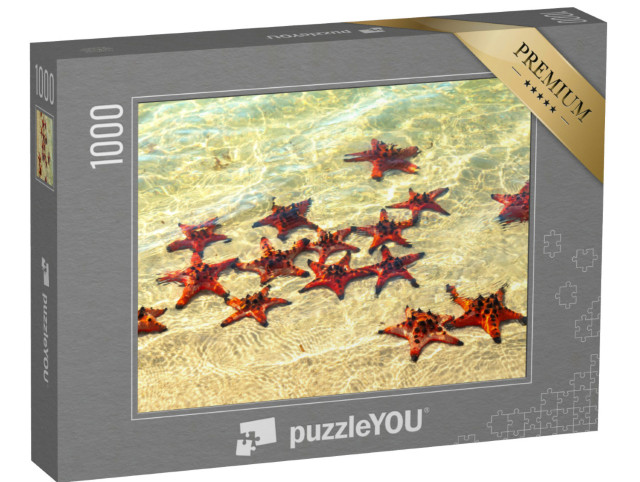 Puzzle de 1000 pièces « Étoiles de mer prenant un bain de soleil »