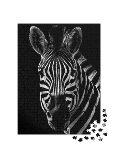 Puzzle de 1000 pièces « Portrait d'un zèbre »