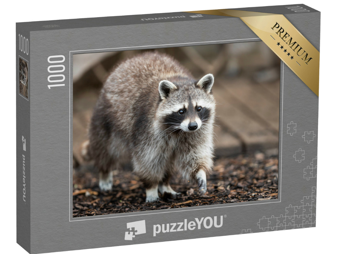 Puzzle de 1000 pièces « Un raton laveur parcourt un jardin »