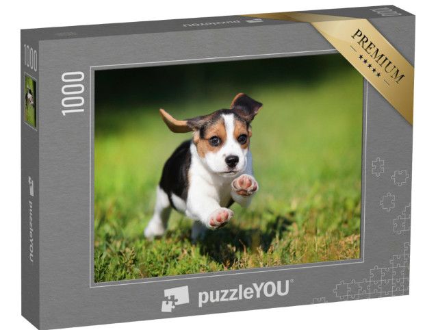 Puzzle de 1000 pièces « Un chiot beagle dans l'herbe »