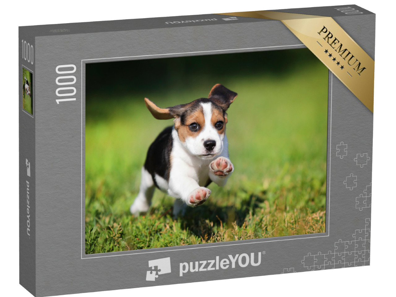 Puzzle de 1000 pièces « Un chiot beagle dans l'herbe »
