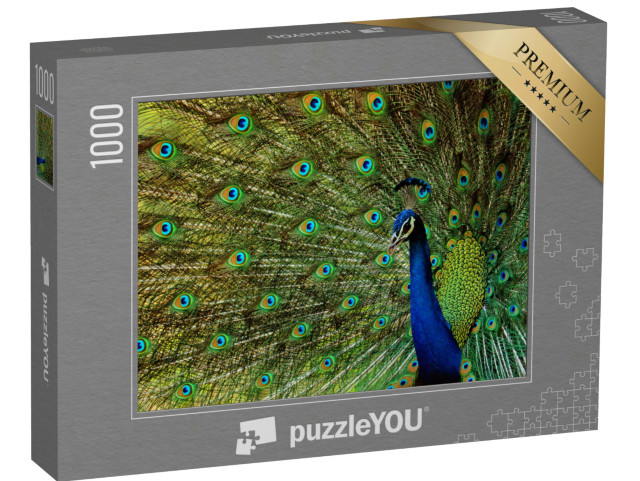 Puzzle de 1000 pièces « Un beau paon oiseau »