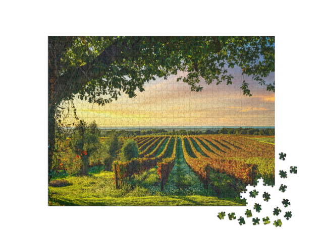 Puzzle de 1000 pièces « Vignoble de Bolgheri au coucher du soleil, Toscane, Italie »