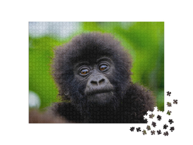 Puzzle de 1000 pièces « Un petit bébé gorille »