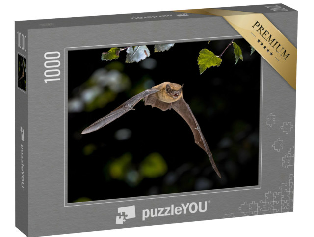 Puzzle de 1000 pièces « Pipistrelle Chauve-souris en vol »