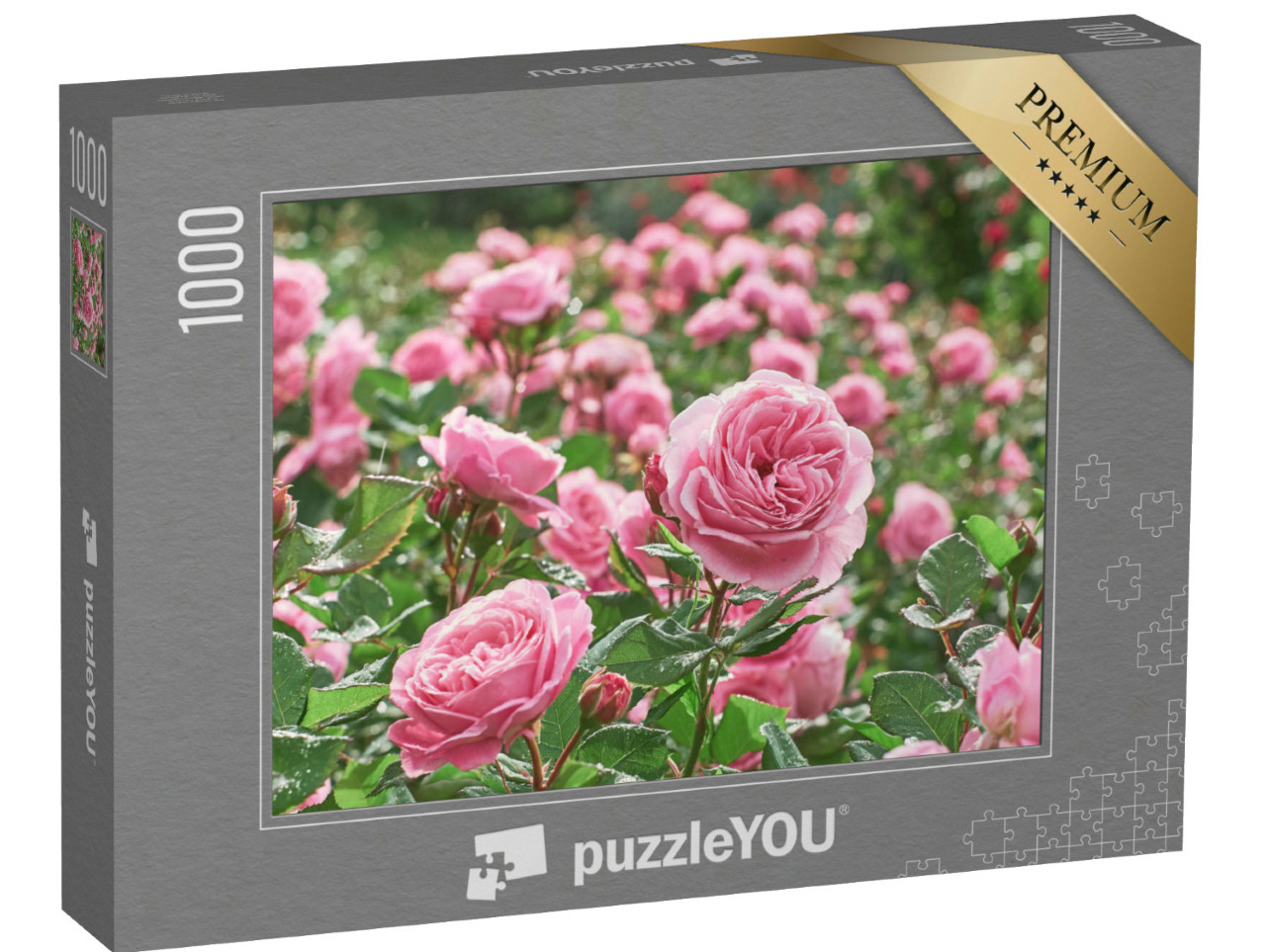 Puzzle de 1000 pièces « Une mer de roses roses »