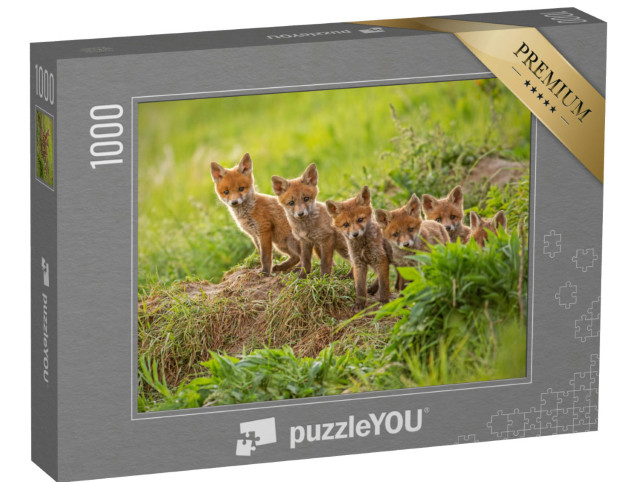 Puzzle de 1000 pièces « De petits renards roux curieux explorent le monde »