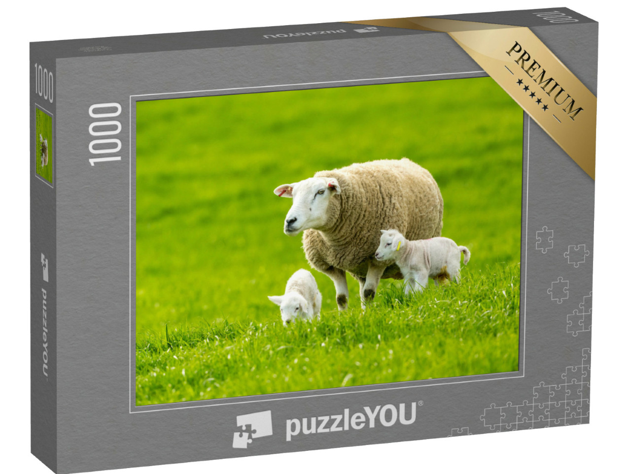 Puzzle de 1000 pièces « Une brebis et ses agneaux dans une verte prairie au printemps »