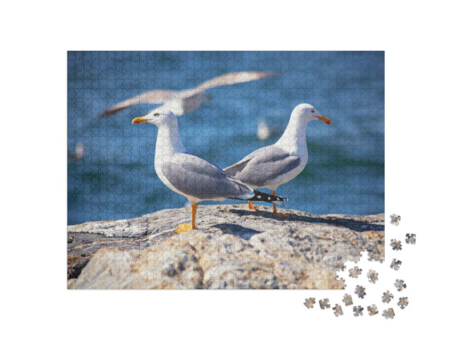 Puzzle de 1000 pièces « Deux goélands marins sur la plage »