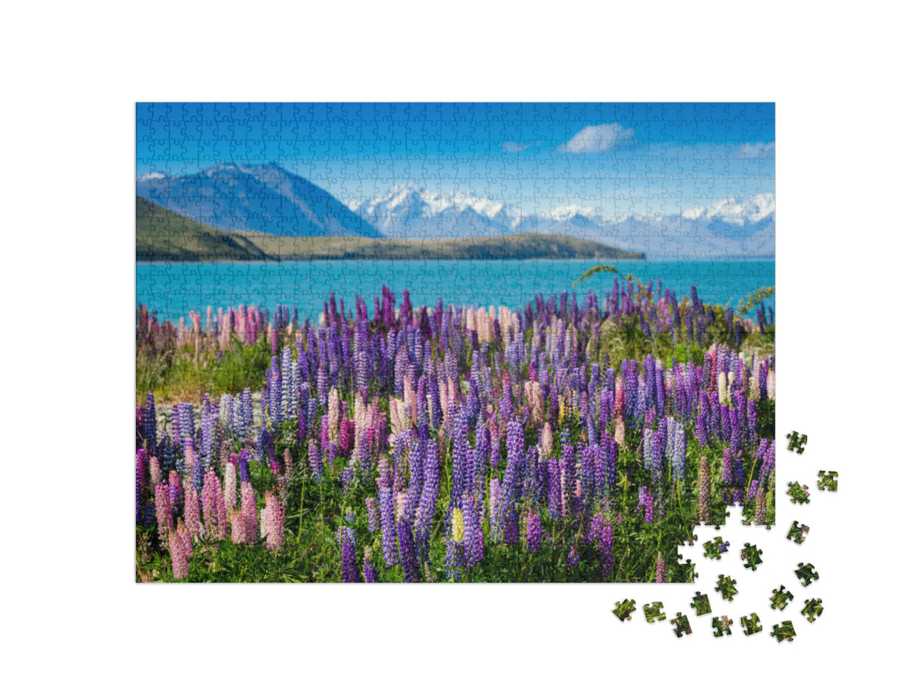 Puzzle de 1000 pièces « Majestueux lac de montagne avec lupins en fleurs »