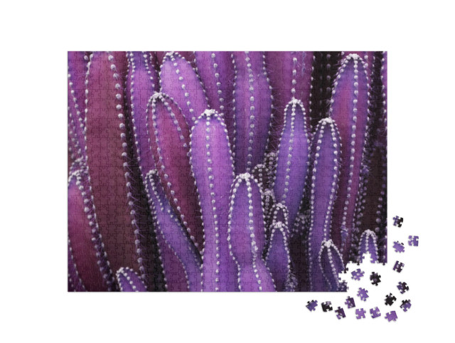 Puzzle de 1000 pièces « Gros plan : Purple Cactus Plant »