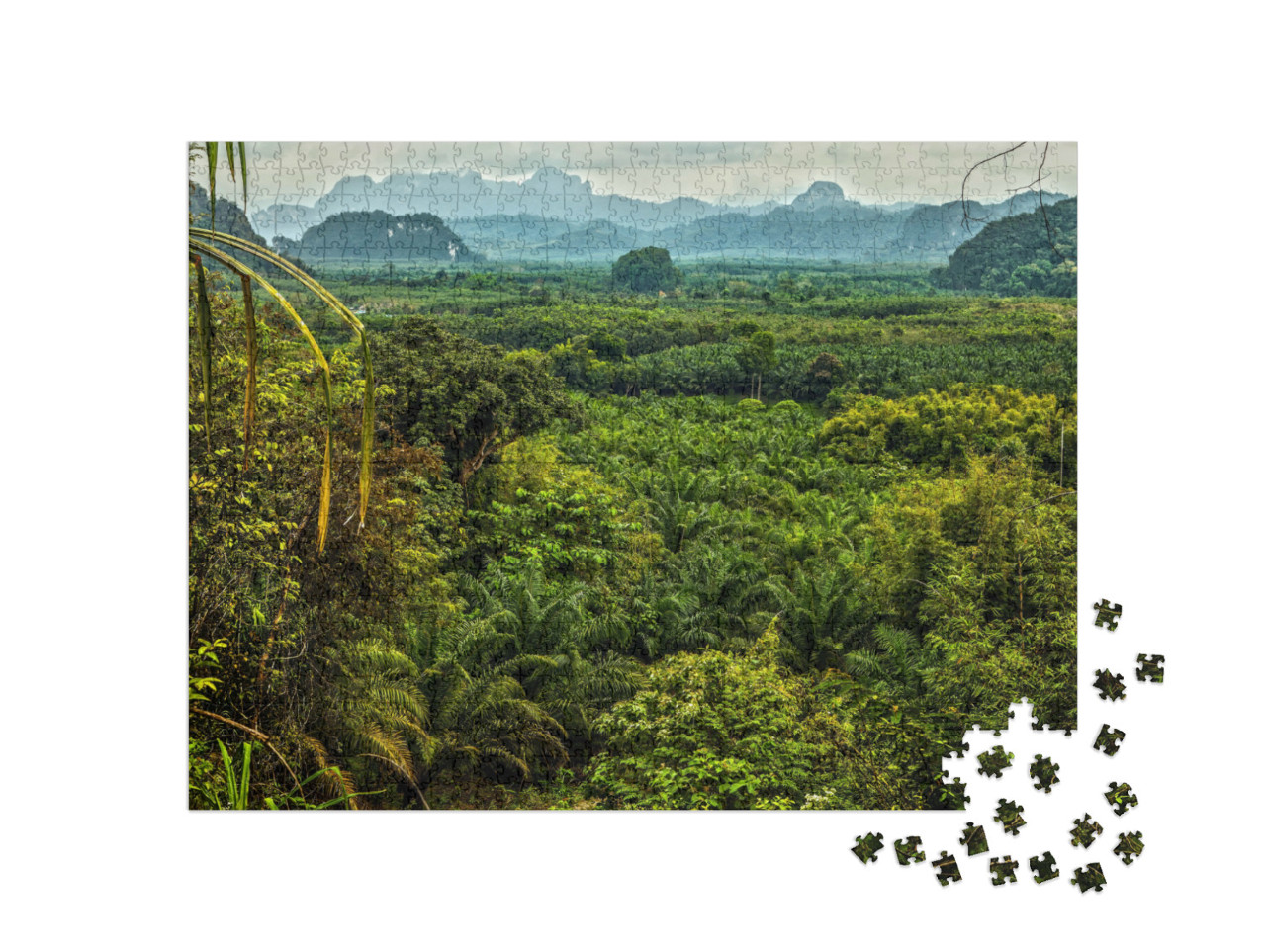 Puzzle de 1000 pièces « Paysage de forêt tropicale en Thaïlande »