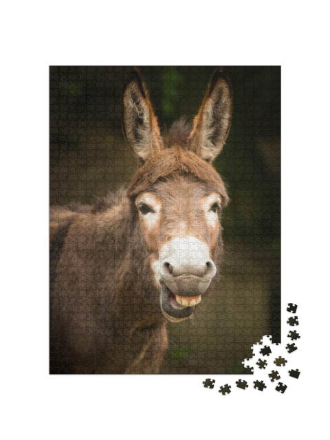 Puzzle de 1000 pièces « Un âne »
