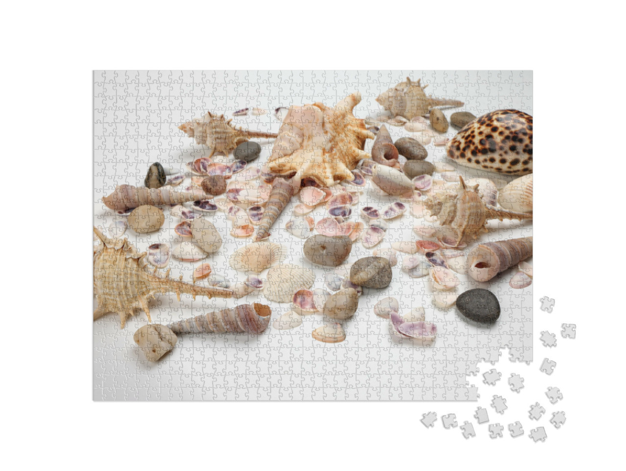 Puzzle de 1000 pièces « Moules Triton »