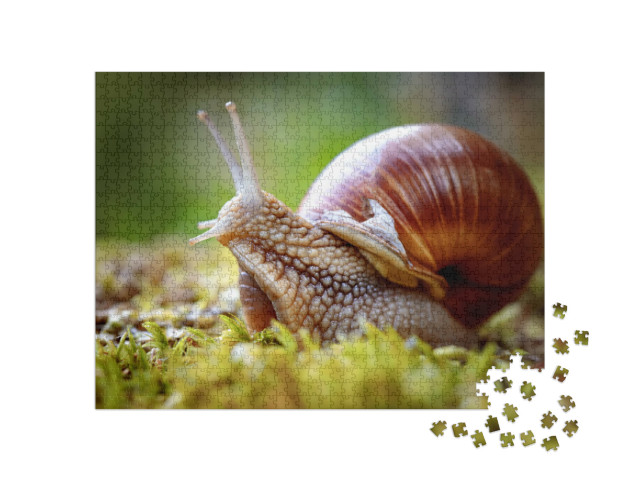 Puzzle de 1000 pièces « Helix pomatia, également connu sous le nom d'escargot de vignoble »