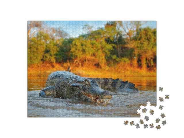 Puzzle de 1000 pièces « Crocodile au bord d'une rivière, Bolivie »