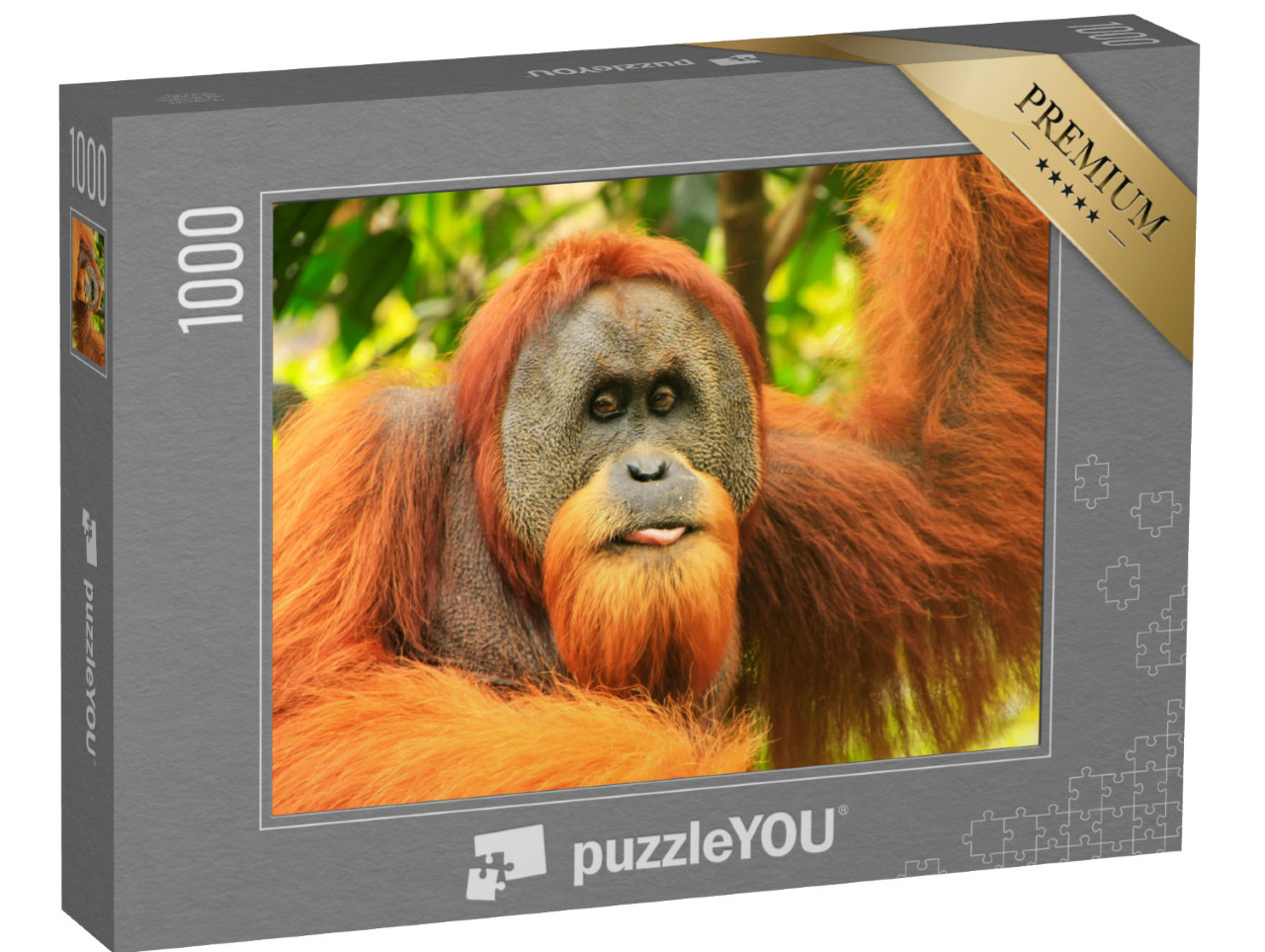 Puzzle de 1000 pièces « Portrait d'un orang-outan de Sumatra mâle »