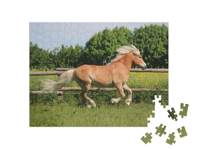 Puzzle de 200 pièces « Magnifique cheval Haflinger au paddock »