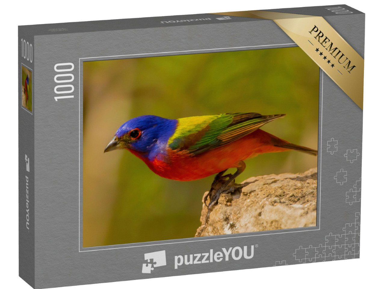 Puzzle de 1000 pièces « Le bruant des roseaux, le plus bel oiseau chanteur d'Amérique »