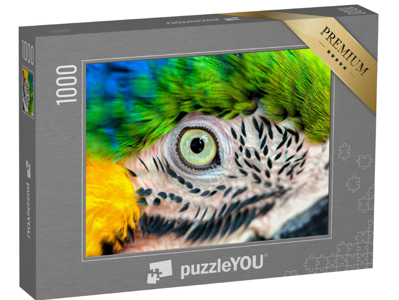 Puzzle de 1000 pièces « Détail : œil de perroquet »