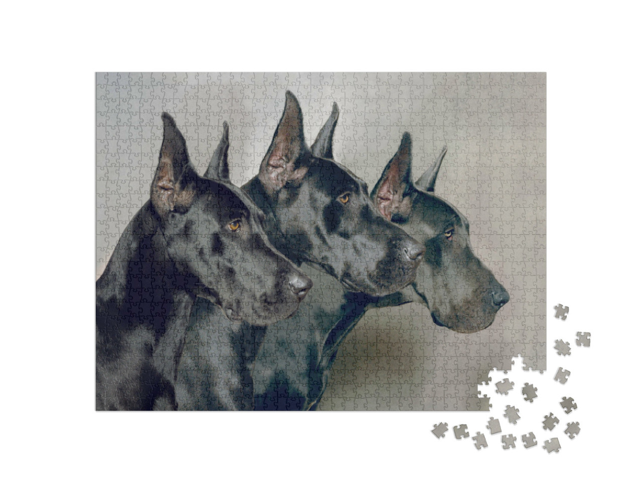 Puzzle de 1000 pièces « Trois générations de dogues allemands »