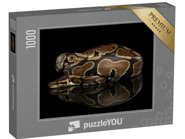 Puzzle de 1000 pièces « Gros plan sur un python royal »