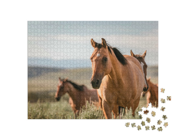 Puzzle de 1000 pièces « Chevaux de ranch américains de Quarter Horse dans le Wyoming, USA »