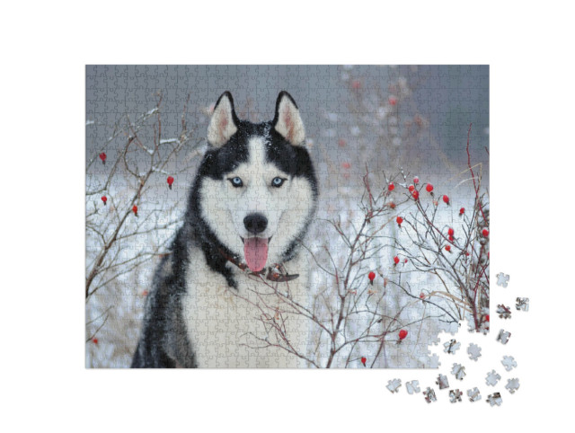 Puzzle de 1000 pièces « Husky sibérien aux yeux bleus en hiver »