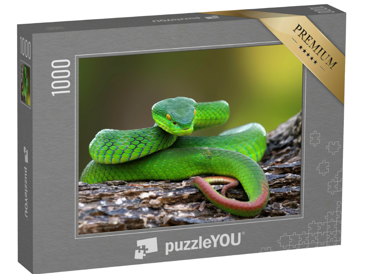 Puzzle de 1000 pièces « Trimisurus albolabris, serpent vert sur branche »