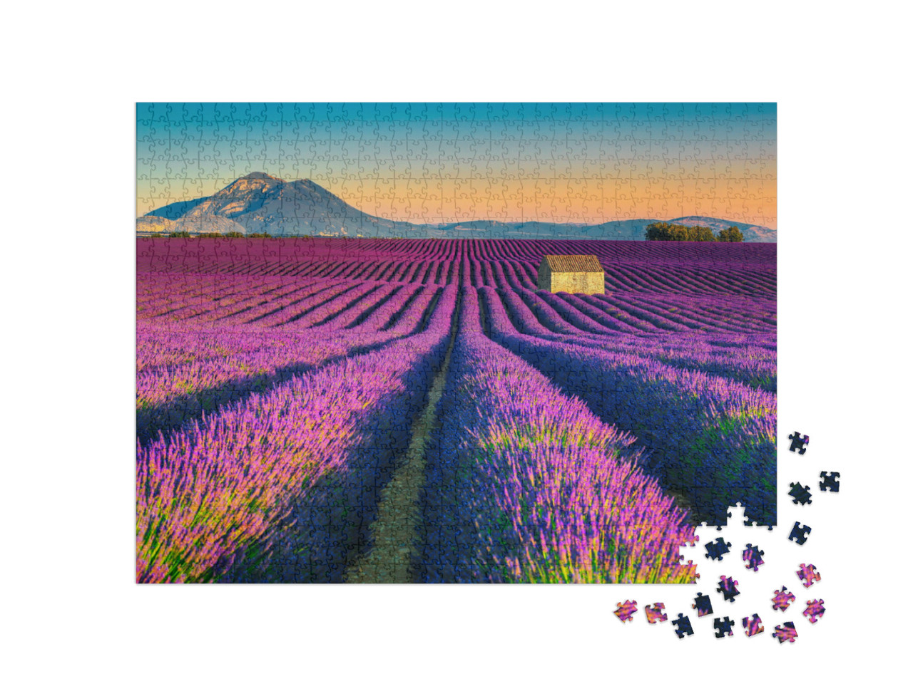 Puzzle de 1000 pièces « Champs de lavande près du village de Valensole, France »